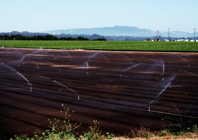 Central Valley farm field being watered