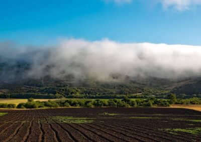 Clouds coming over central valley hills into farm field